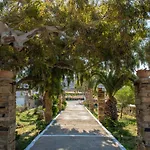 θἔρως Agios Sostis (Tinos)